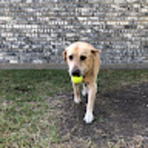 Meet your Posher, Zachary